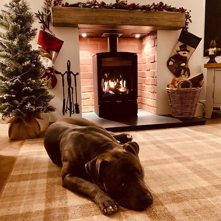 Woodland Cottage - Private Courtyard - Pet Friendly Retreat In The Heart Of Windermere Exteriör bild
