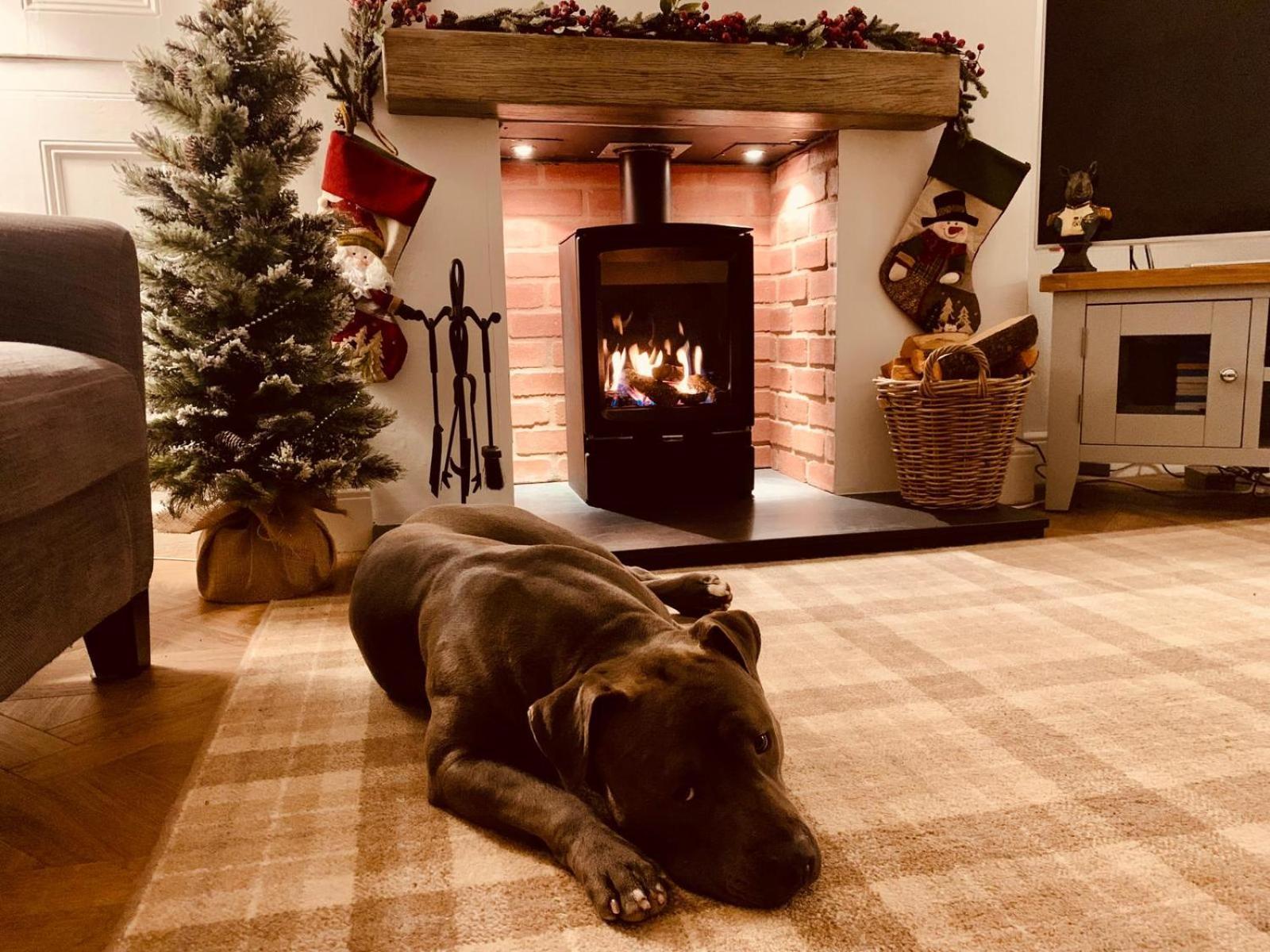 Woodland Cottage - Private Courtyard - Pet Friendly Retreat In The Heart Of Windermere Exteriör bild